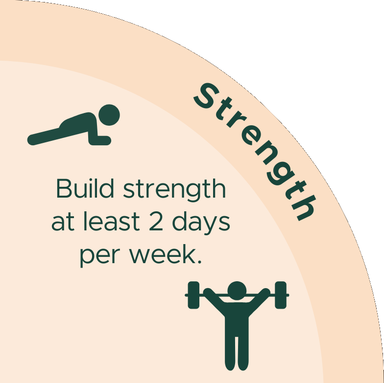 Build strength at least 2 days per week.